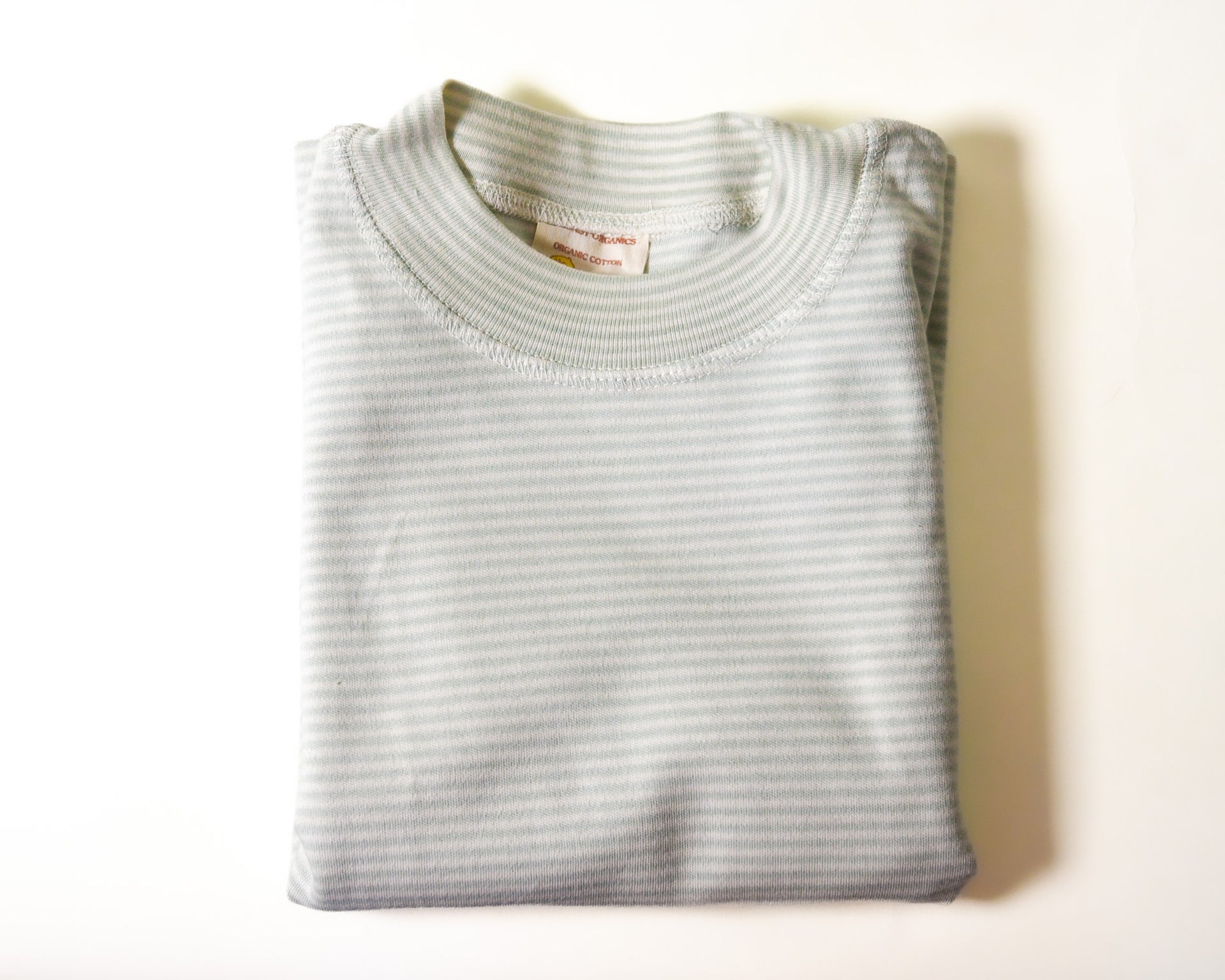 Mini Mock Neck Long Sleeve Shirt, Sage